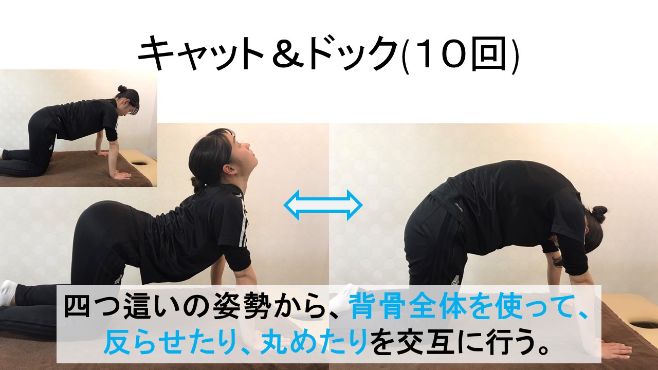 テレワークの人におススメのストレッチ＆エクササイズ7選 | 千葉の